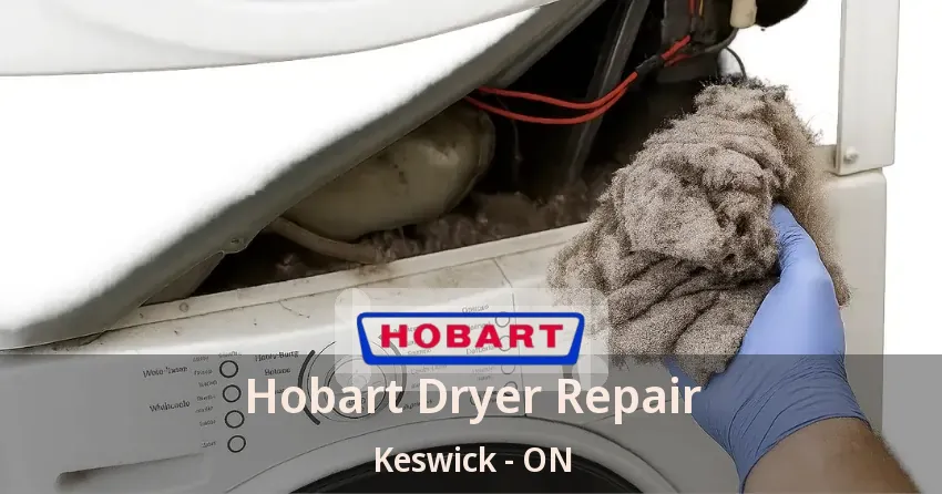 Hobart Dryer Repair Keswick - ON