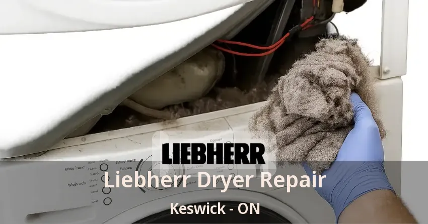 Liebherr Dryer Repair Keswick - ON