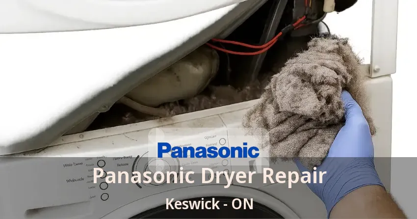 Panasonic Dryer Repair Keswick - ON