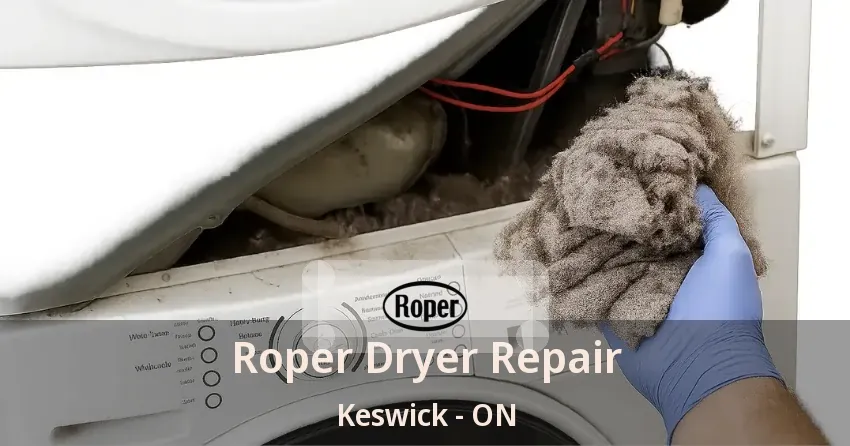 Roper Dryer Repair Keswick - ON