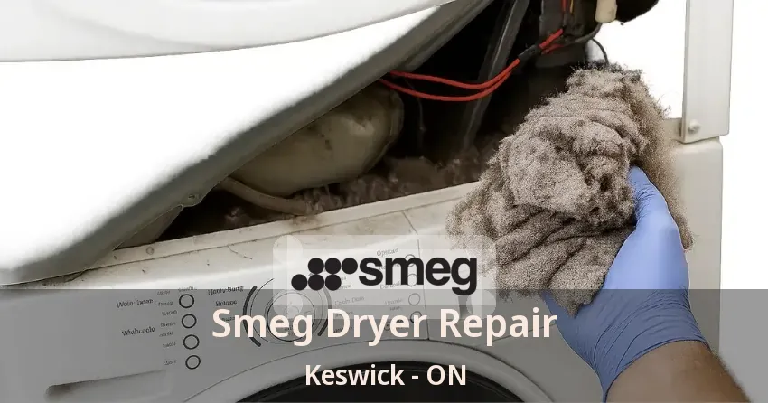 Smeg Dryer Repair Keswick - ON