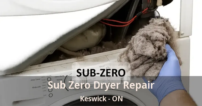 Sub Zero Dryer Repair Keswick - ON