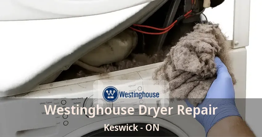 Westinghouse Dryer Repair Keswick - ON