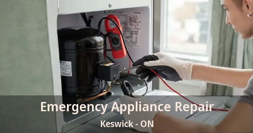 Emergency Appliance Repair Keswick - ON