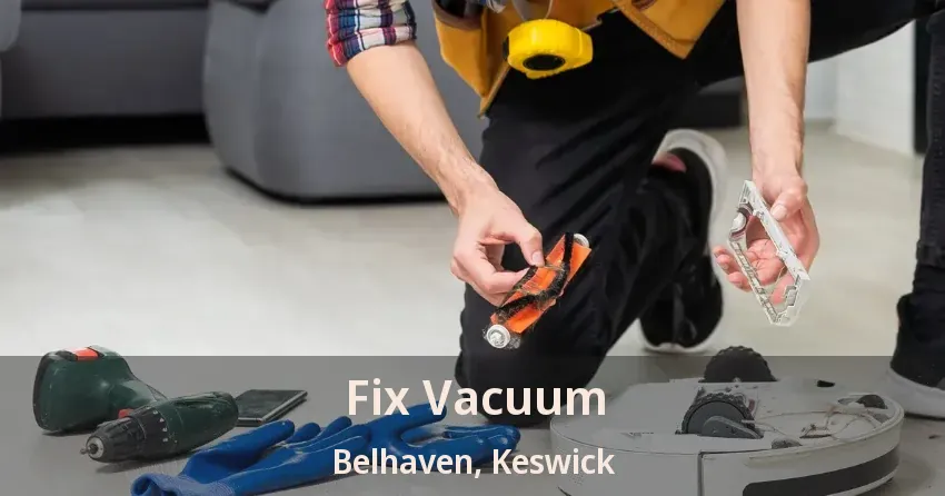 Fix Vacuum Belhaven, Keswick - ON