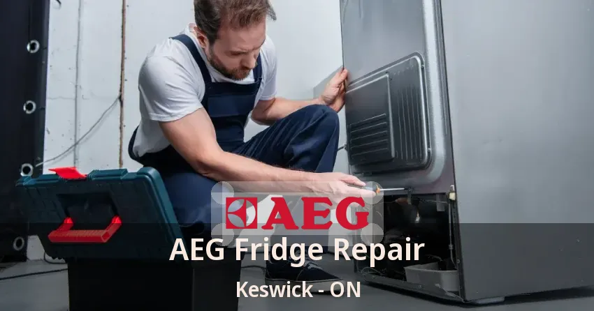 AEG Fridge Repair Keswick - ON