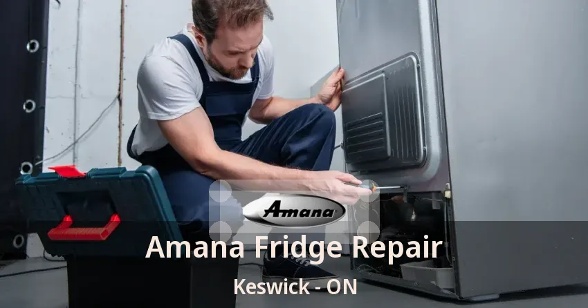 Amana Fridge Repair Keswick - ON