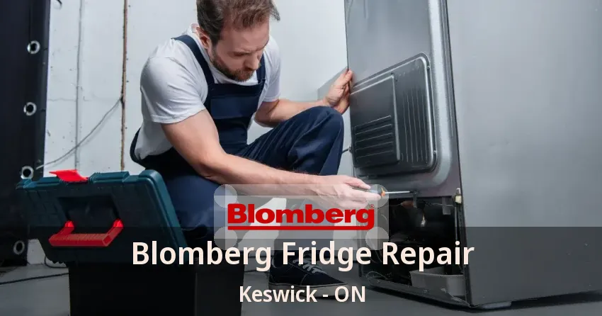 Blomberg Fridge Repair Keswick - ON