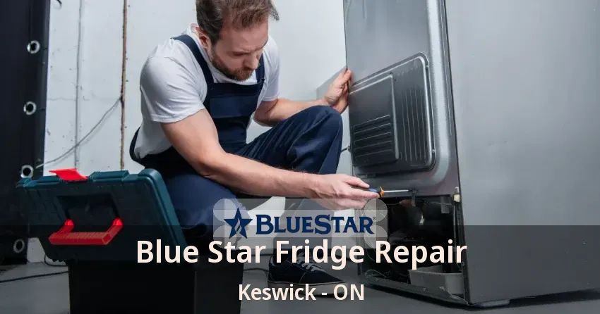 Blue Star Fridge Repair Keswick - ON