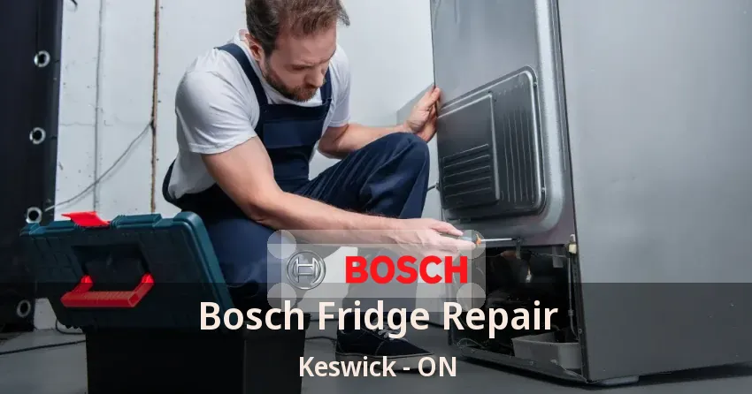 Bosch Fridge Repair Keswick - ON