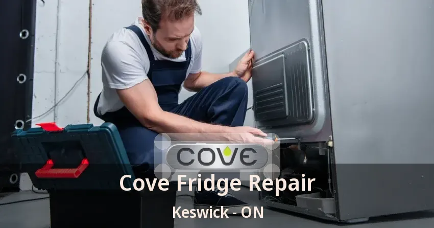 Cove Fridge Repair Keswick - ON