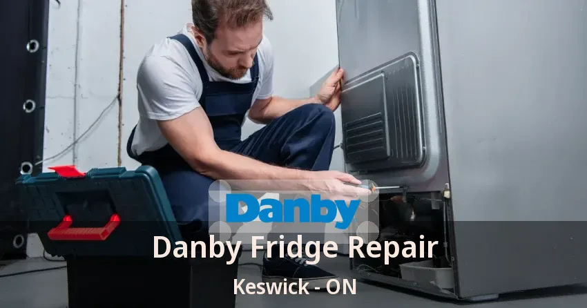 Danby Fridge Repair Keswick - ON