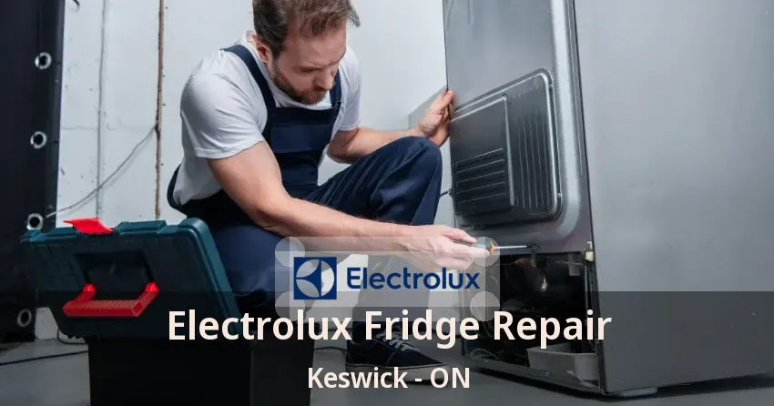Electrolux Fridge Repair Keswick - ON