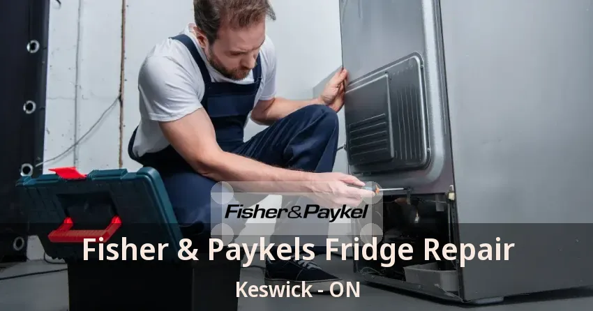 Fisher & Paykels Fridge Repair Keswick - ON