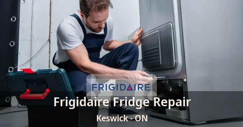 Frigidaire Fridge Repair Keswick - ON