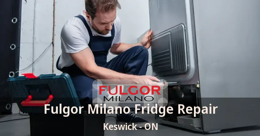 Fulgor Milano Fridge Repair Keswick - ON