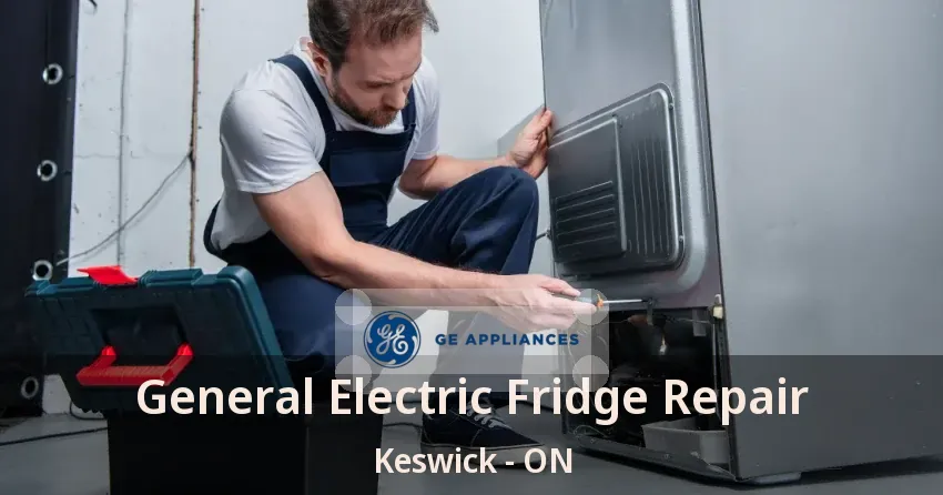 General Electric Fridge Repair Keswick - ON