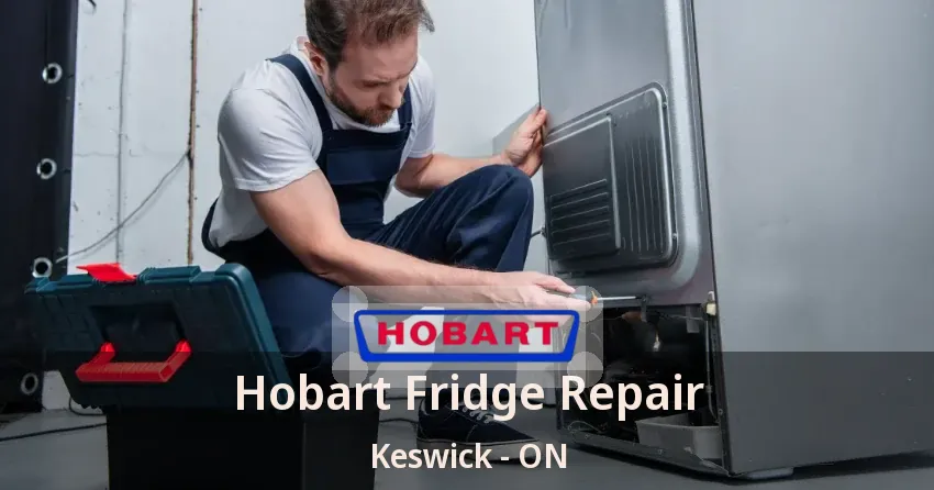 Hobart Fridge Repair Keswick - ON
