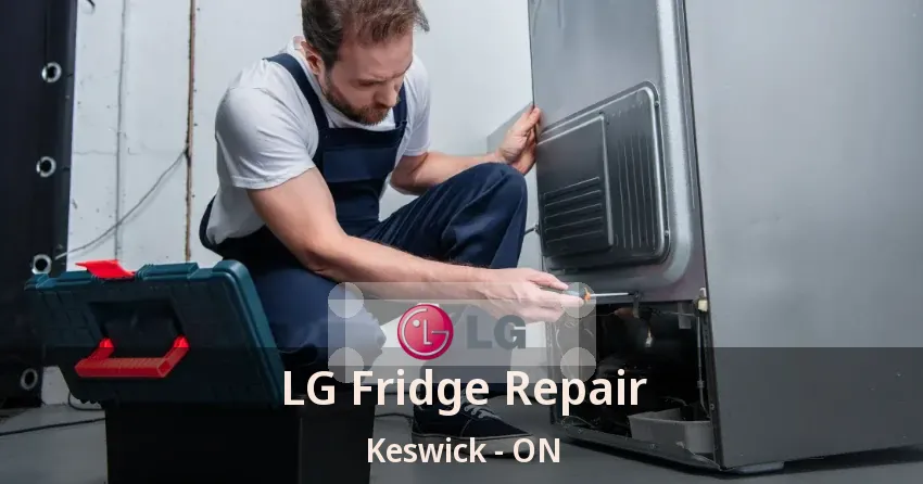 LG Fridge Repair Keswick - ON