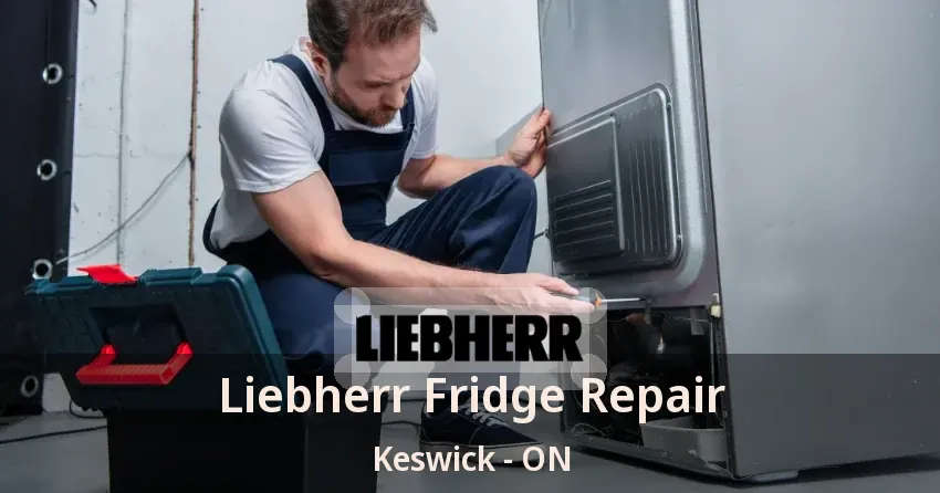 Liebherr Fridge Repair Keswick - ON