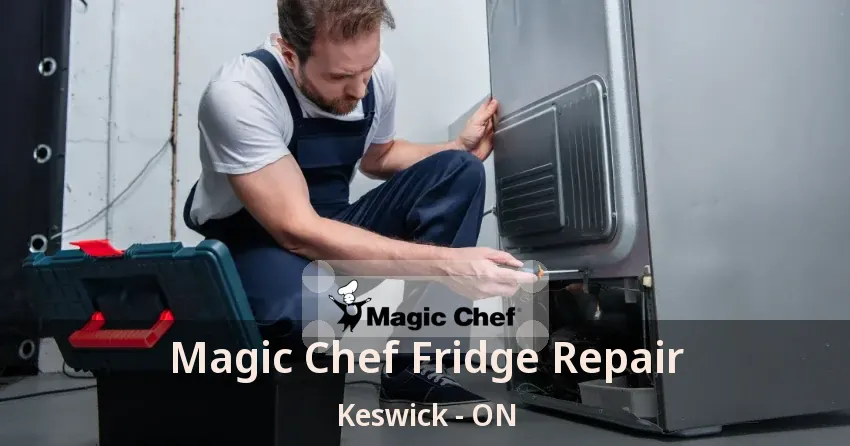 Magic Chef Fridge Repair Keswick - ON