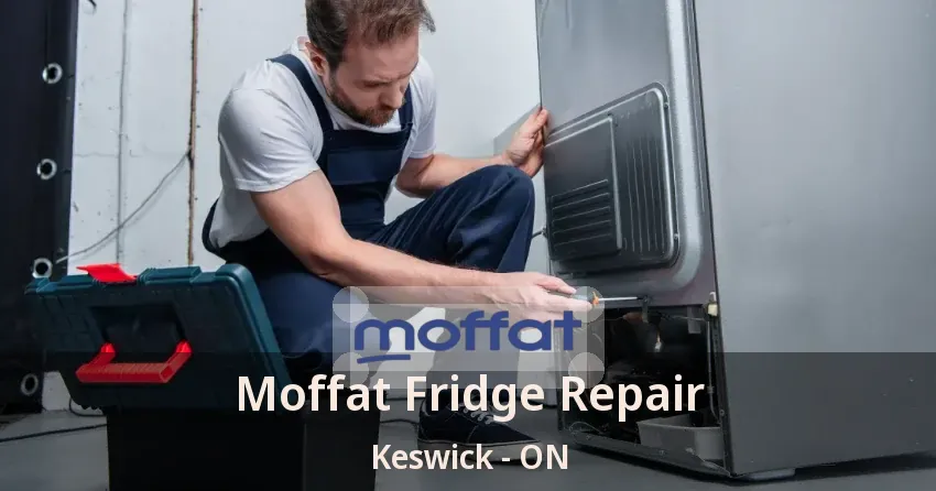 Moffat Fridge Repair Keswick - ON