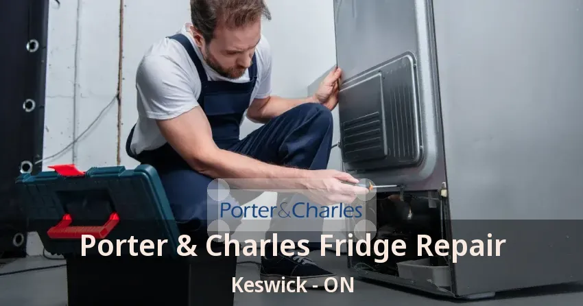 Porter & Charles Fridge Repair Keswick - ON
