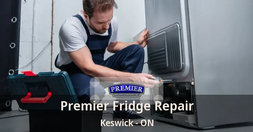 Premier Fridge Repair Keswick - ON