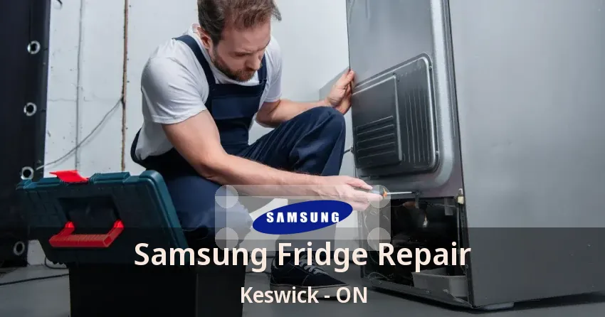 Samsung Fridge Repair Keswick - ON