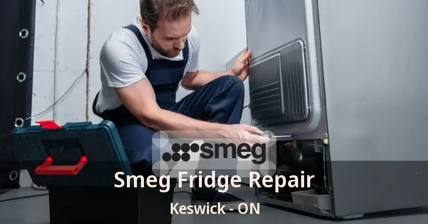 Smeg Fridge Repair Keswick - ON