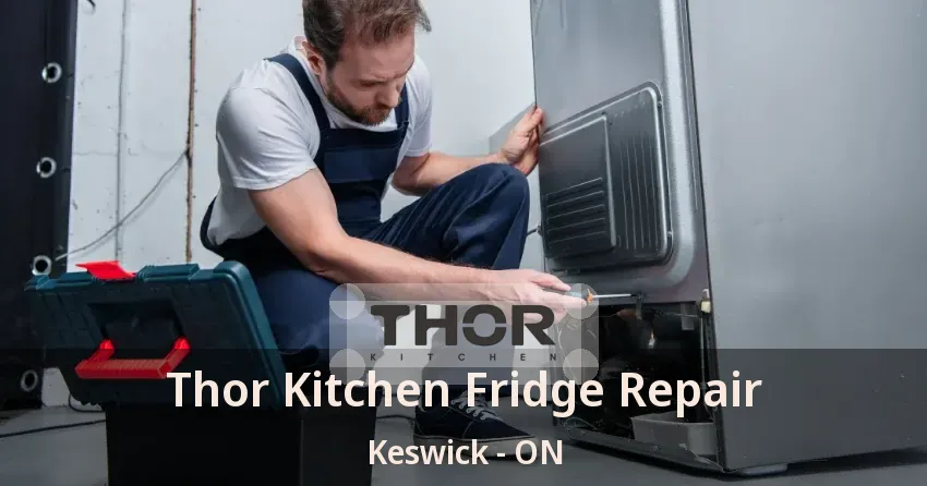 Thor Kitchen Fridge Repair Keswick - ON