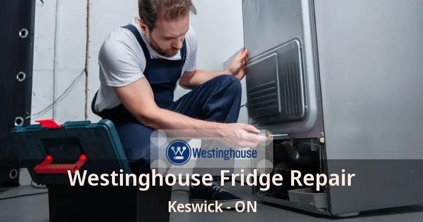 Westinghouse Fridge Repair Keswick - ON