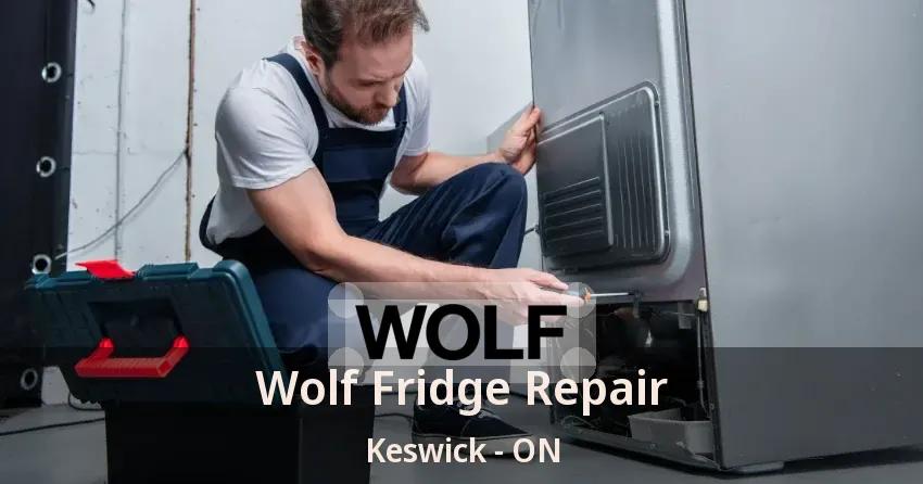 Wolf Fridge Repair Keswick - ON