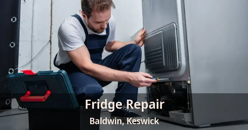 Fridge Repair Baldwin, Keswick - ON