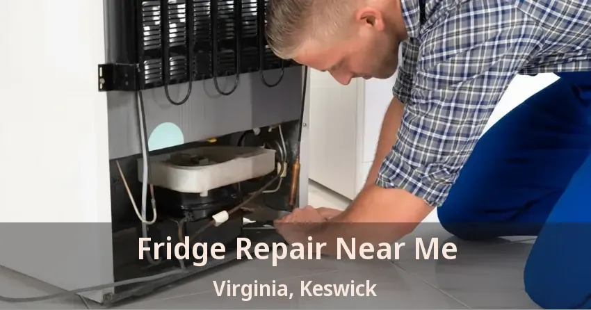 Fridge Repair Near Me Virginia, Keswick - ON