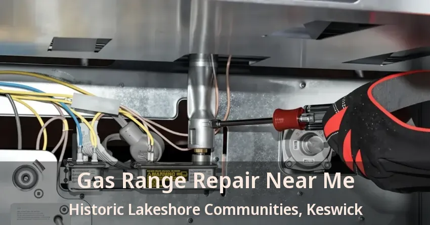 Gas Range Repair Near Me Historic Lakeshore Communities, Keswick - ON