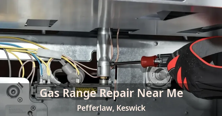 Gas Range Repair Near Me Pefferlaw, Keswick - ON