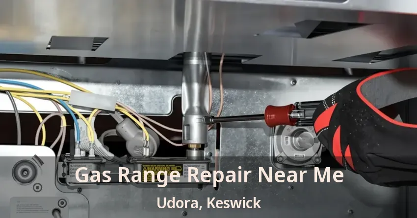 Gas Range Repair Near Me Udora, Keswick - ON