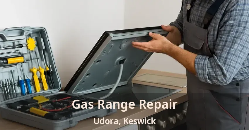 Gas Range Repair Udora, Keswick - ON