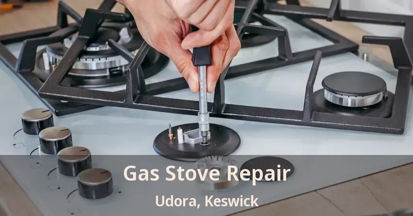 Gas Stove Repair Udora, Keswick - ON