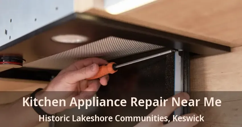 Kitchen Appliance Repair Near Me Historic Lakeshore Communities, Keswick - ON