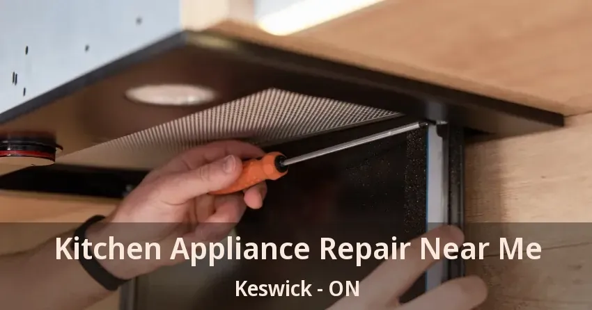 Kitchen Appliance Repair Near Me Keswick - ON