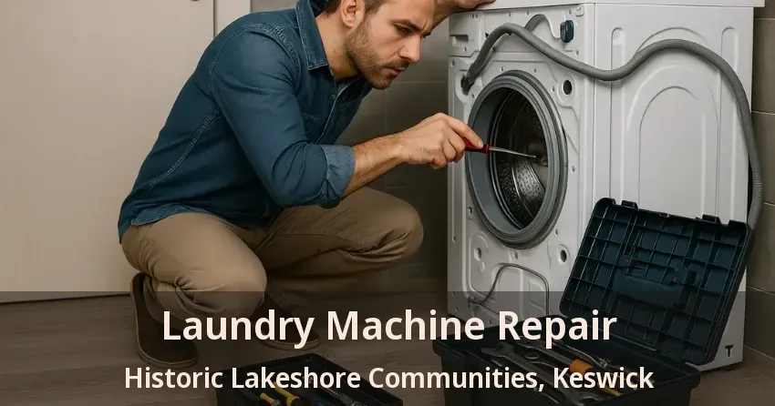 Laundry Machine Repair Historic Lakeshore Communities, Keswick - ON