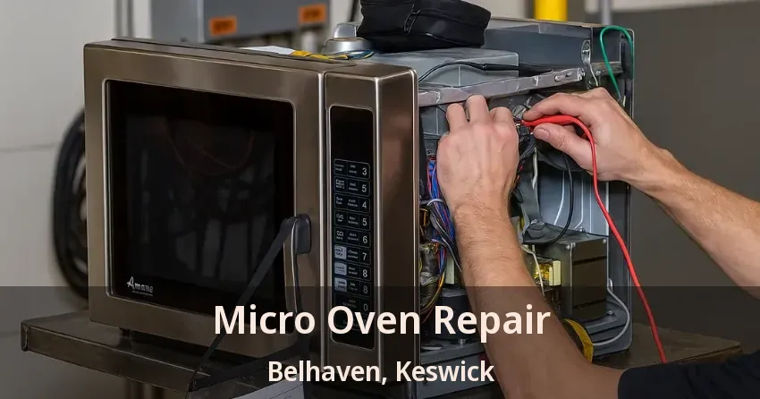Micro Oven Repair Belhaven, Keswick - ON