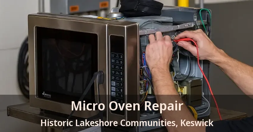 Micro Oven Repair Historic Lakeshore Communities, Keswick - ON