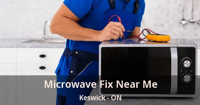 Microwave Fix Near Me Keswick - ON