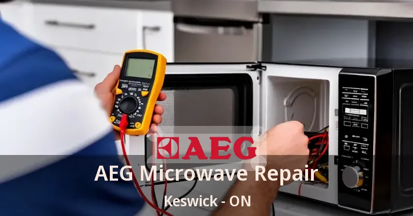 AEG Microwave Repair Keswick - ON