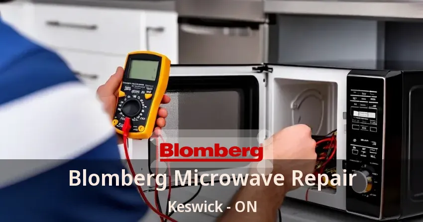 Blomberg Microwave Repair Keswick - ON