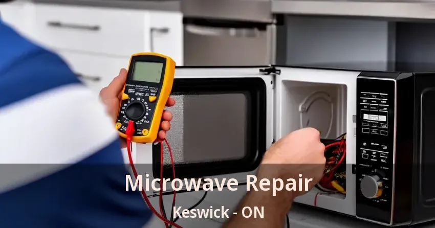 Microwave Repair Keswick - ON