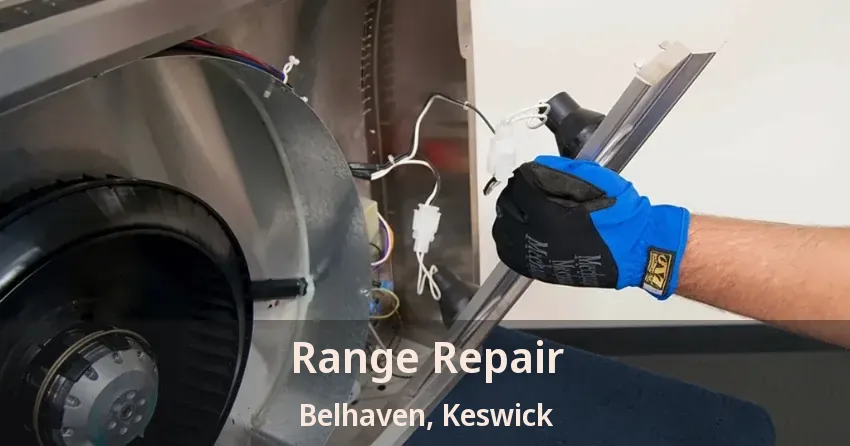 Range Repair Belhaven, Keswick - ON